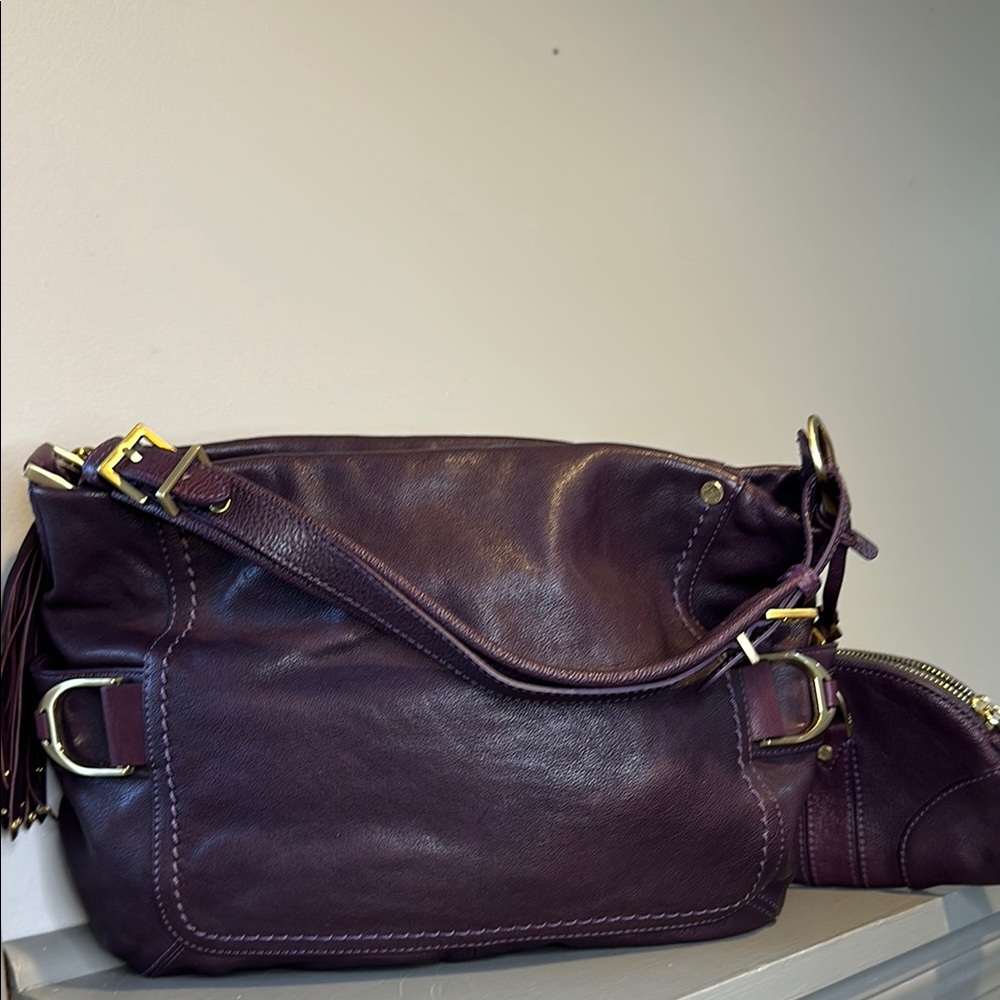 Cole Haan Eggplant leather handbag and pouch